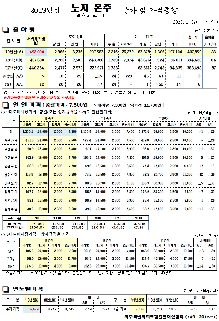 [노지온주]2019년산 출하 및 가격동향(1/22)