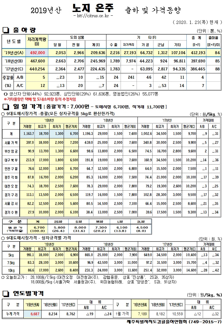 [노지온주]2019년산 출하 및 가격동향(1/23)