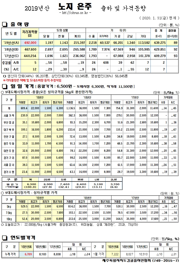 [노지온주]2019년산 출하 및 가격동향(1/31)