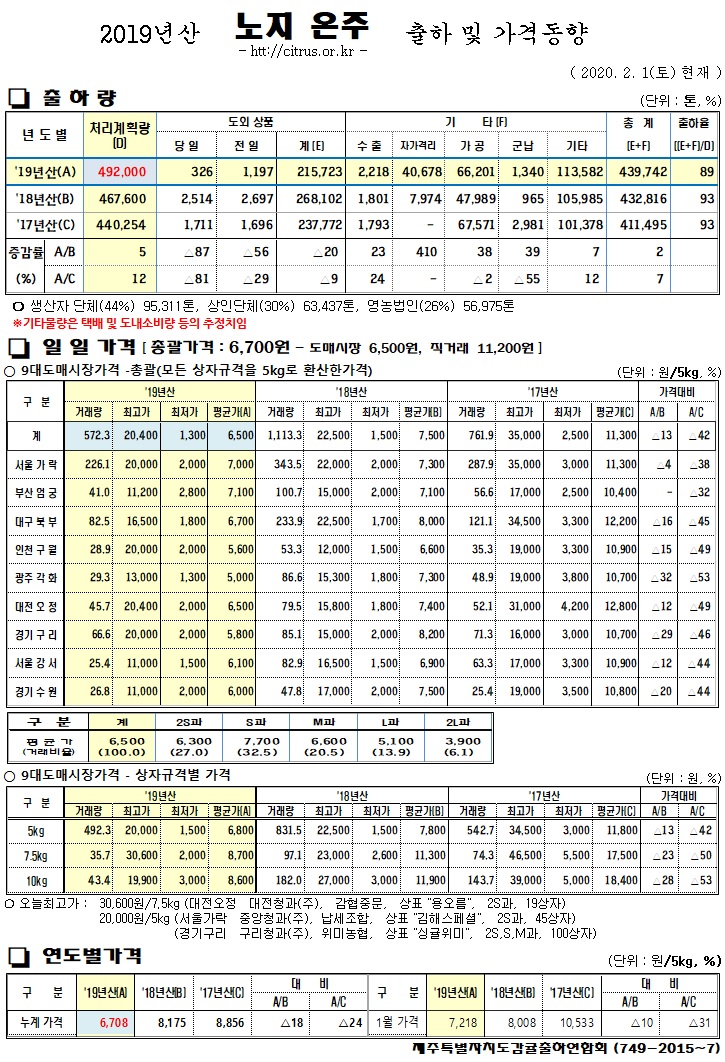 [노지온주]2019년산 출하 및 가격동향(2/01)