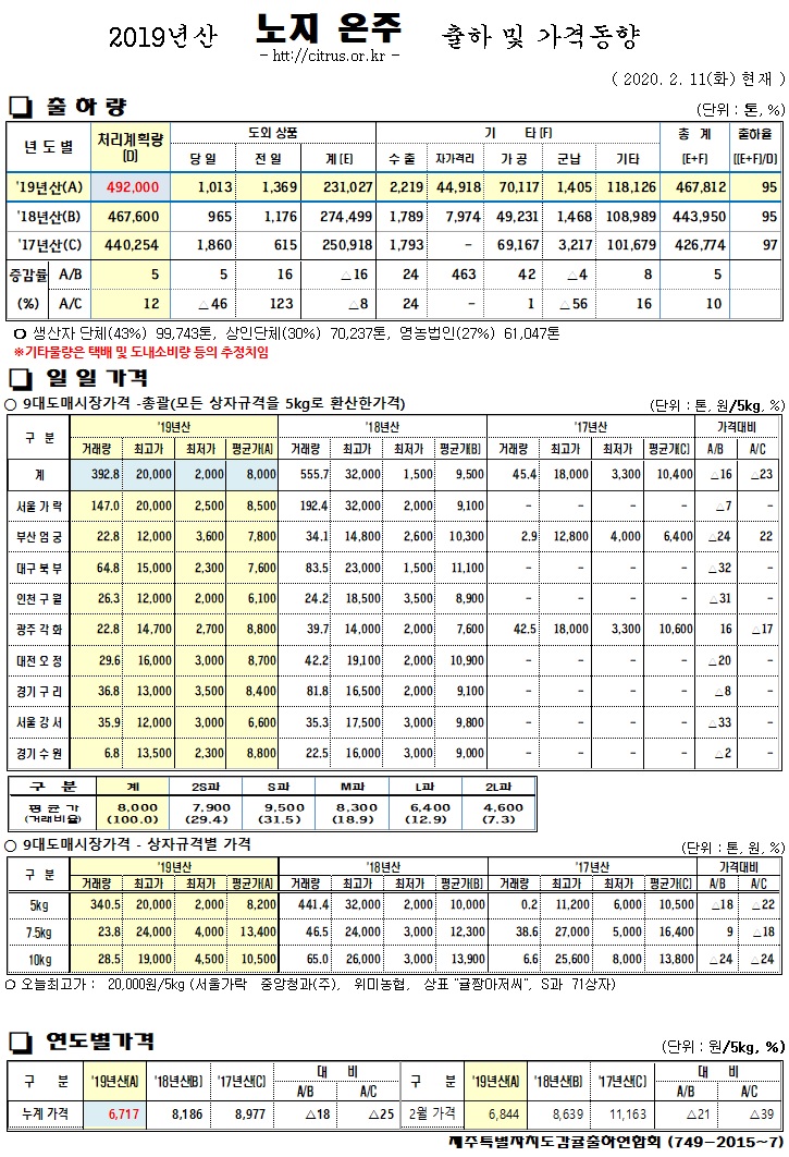 [노지온주]2019년산 출하 및 가격동향(2/11)