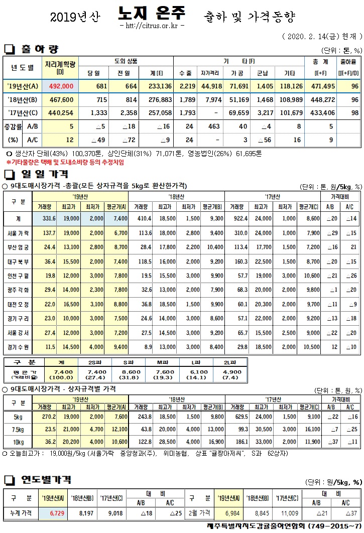 [노지온주]2019년산 출하 및 가격동향(2/14)