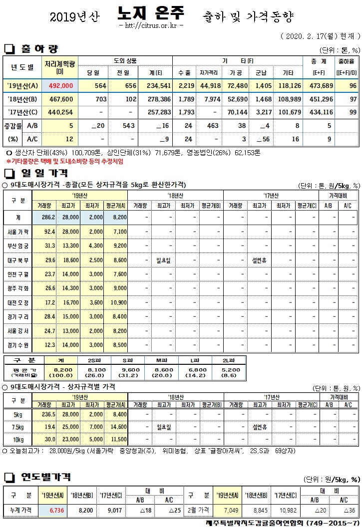 [노지온주]2019년산 출하 및 가격동향(2/17)