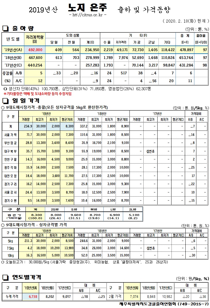 [노지온주]2019년산 출하 및 가격동향(2/18)