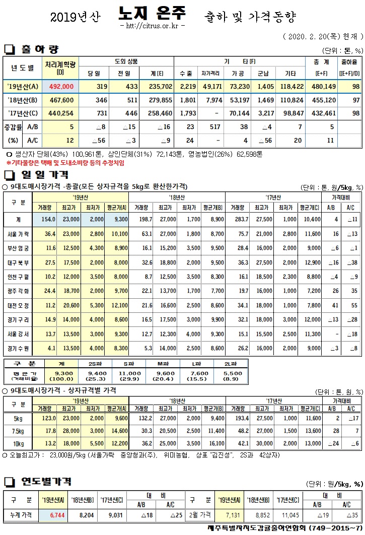 [노지온주]2019년산 출하 및 가격동향(2/20)