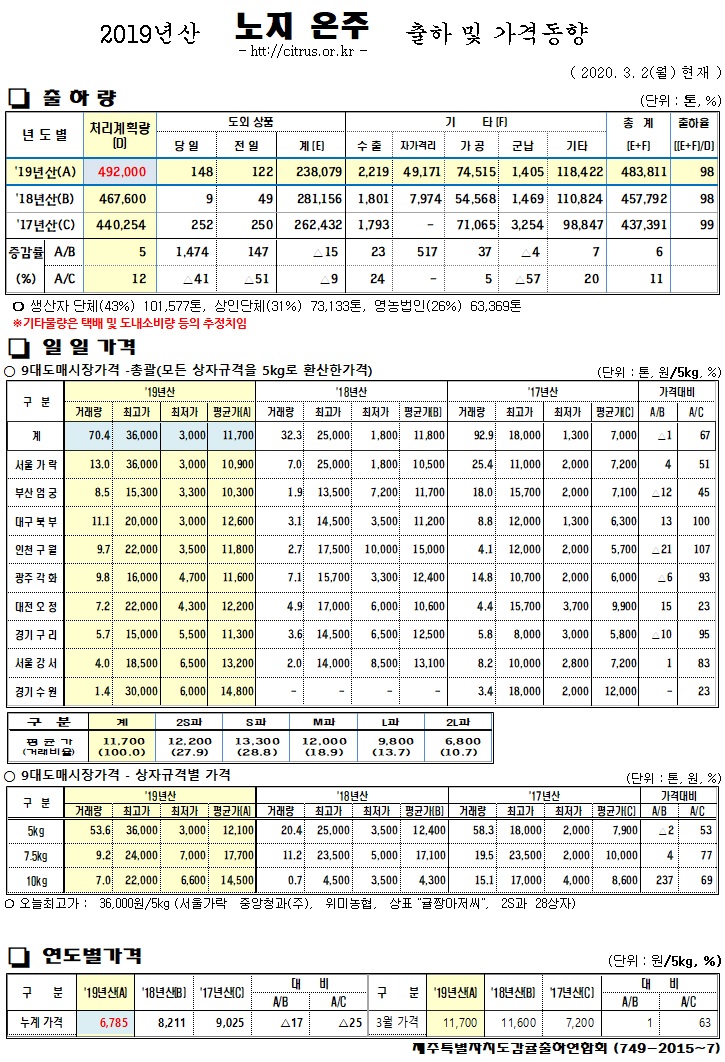 [노지온주]2019년산 출하 및 가격동향(3/02)