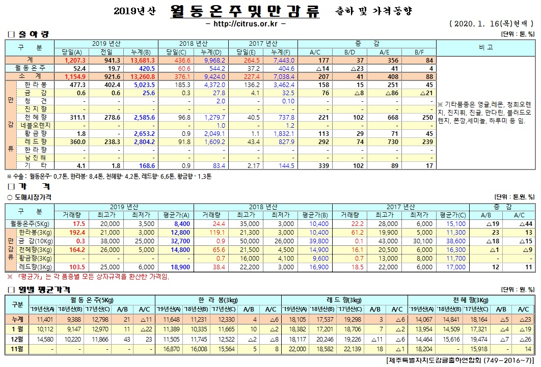 [월동&만감]2019년산 출하 및 가격동향(1/16)