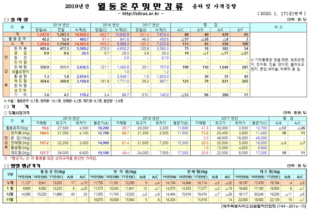 [월동&만감]2019년산 출하 및 가격동향(1/17)