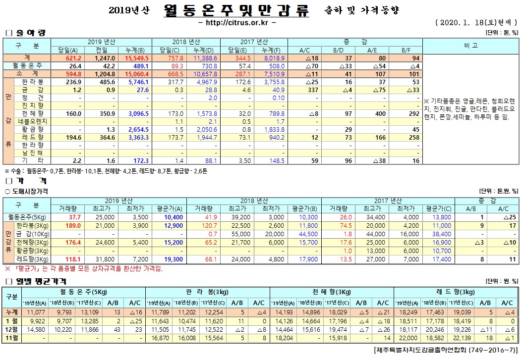 [월동&만감]2019년산 출하 및 가격동향(1/18)