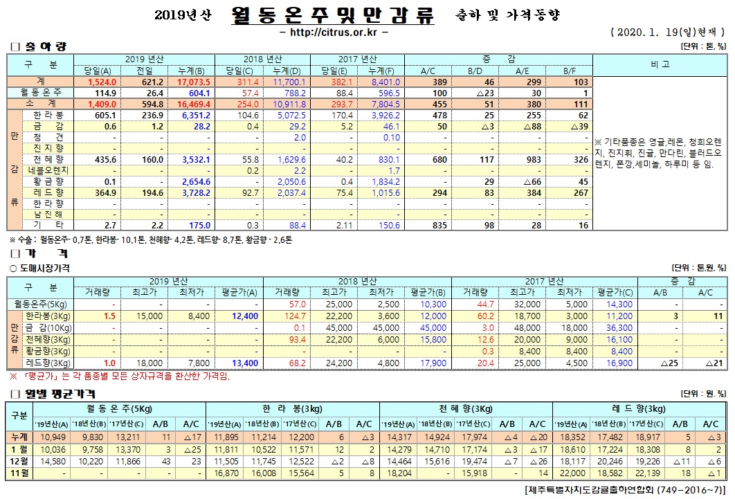 [월동&만감]2019년산 출하 및 가격동향(1/19)