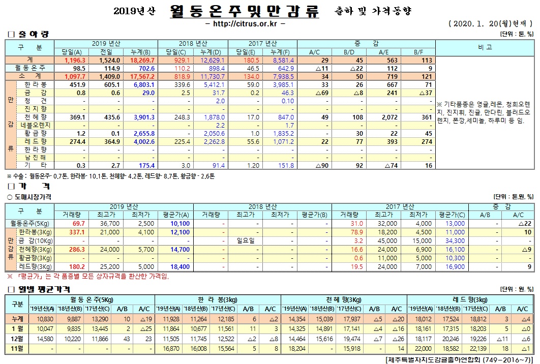 [월동&만감]2019년산 출하 및 가격동향(1/20)