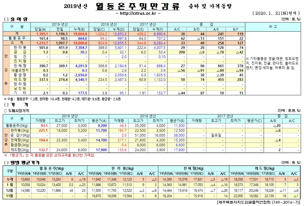 [월동&만감]2019년산 출하 및 가격동향(1/21)