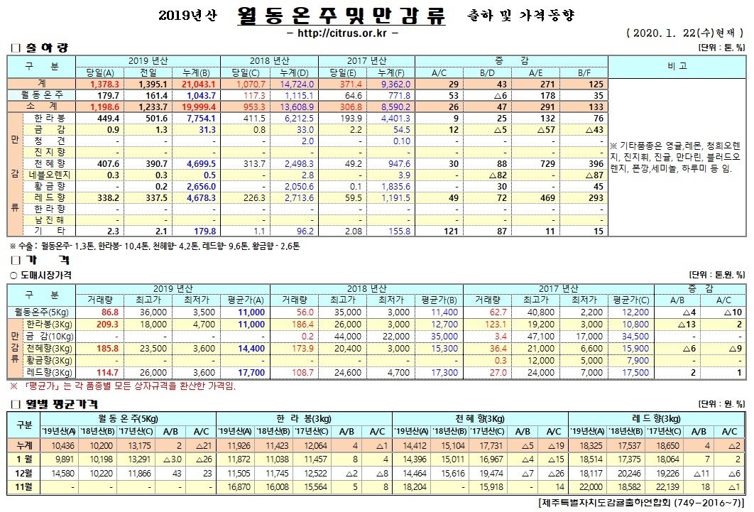 [월동&만감]2019년산 출하 및 가격동향(1/22)