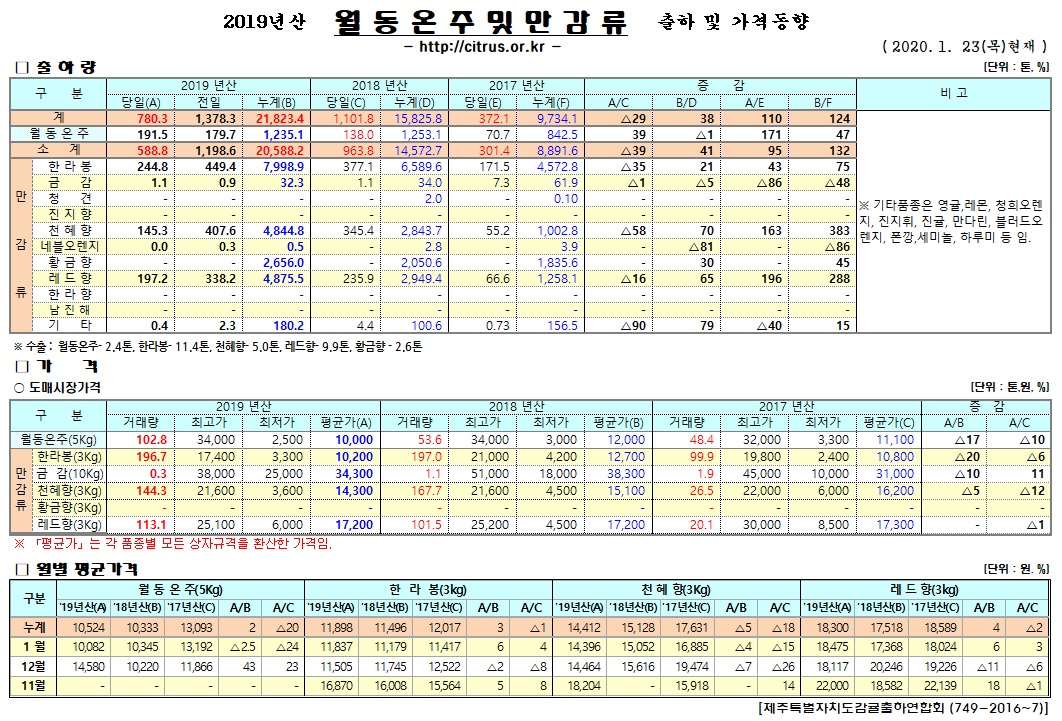 [월동&만감]2019년산 출하 및 가격동향(1/23)