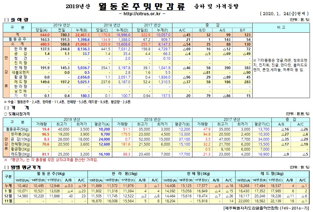 [월동&만감]2019년산 출하 및 가격동향(1/24)