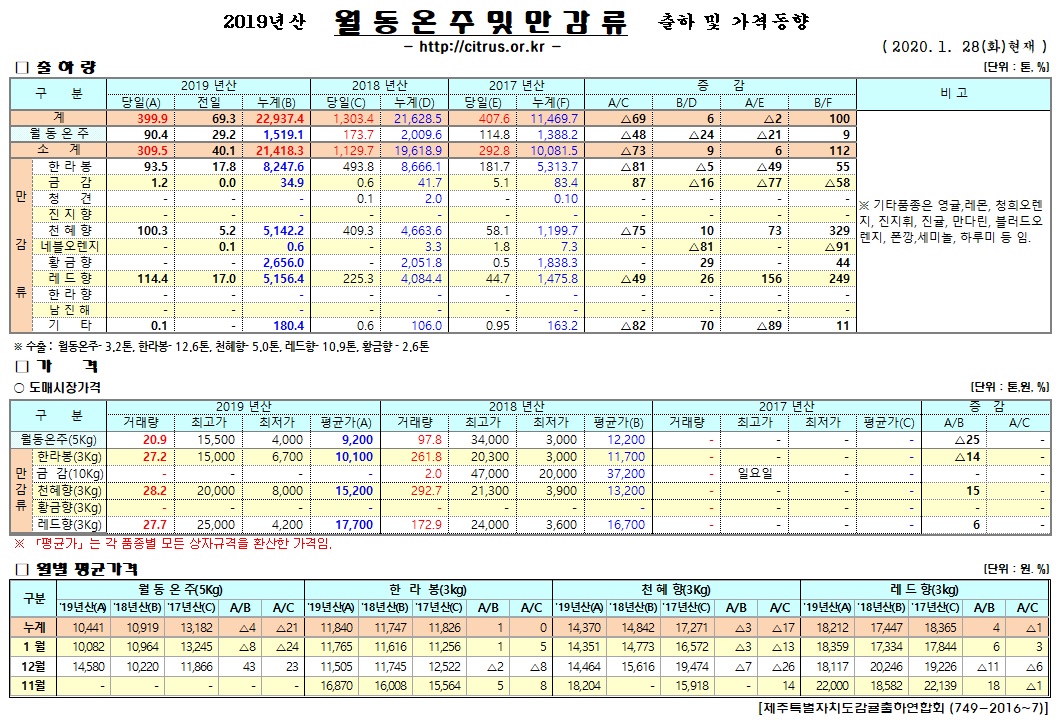 [월동&만감]2019년산 출하 및 가격동향(1/28)