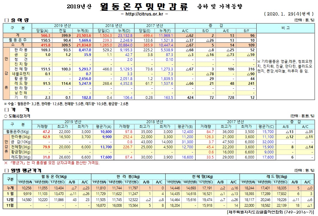 [월동&만감]2019년산 출하 및 가격동향(1/29)