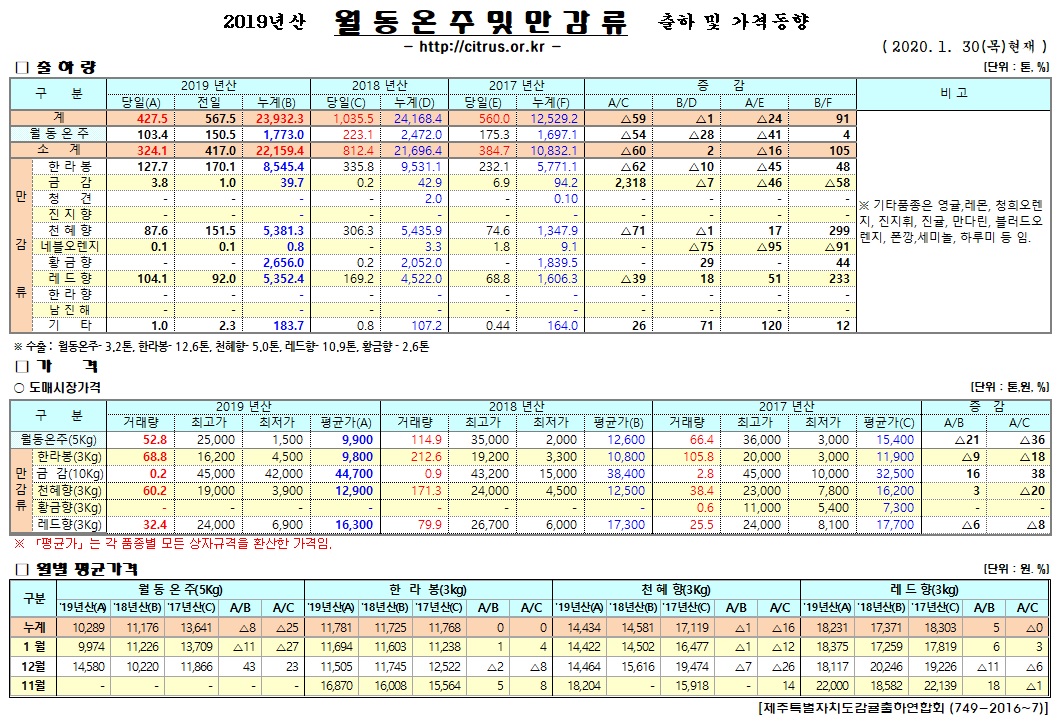 [월동&만감]2019년산 출하 및 가격동향(1/30)