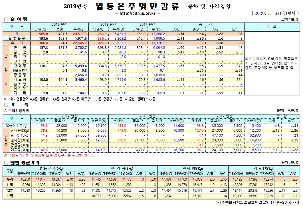 [월동&만감]2019년산 출하 및 가격동향(1/31)