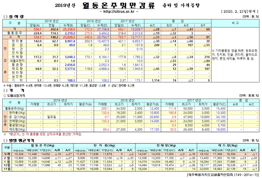 [월동&만감]2019년산 출하 및 가격동향(2/02)