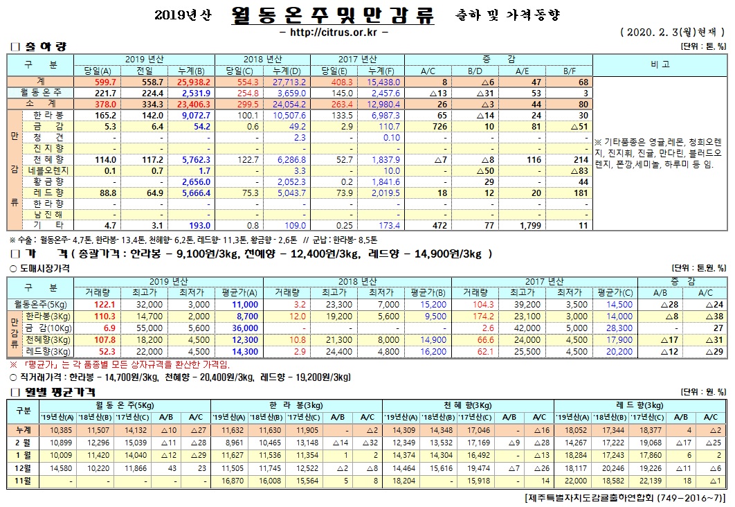 [월동&만감]2019년산 출하 및 가격동향(2/03)