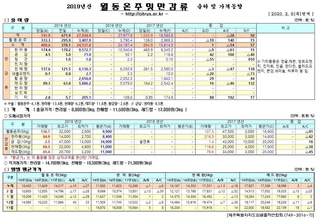 [월동&만감]2019년산 출하 및 가격동향(2/06)