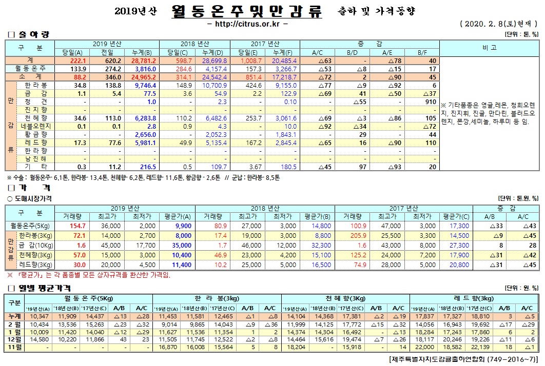 [월동&만감]2019년산 출하 및 가격동향(2/08)