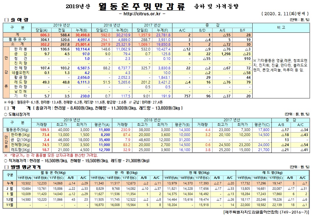 [월동&만감]2019년산 출하 및 가격동향(2/11)