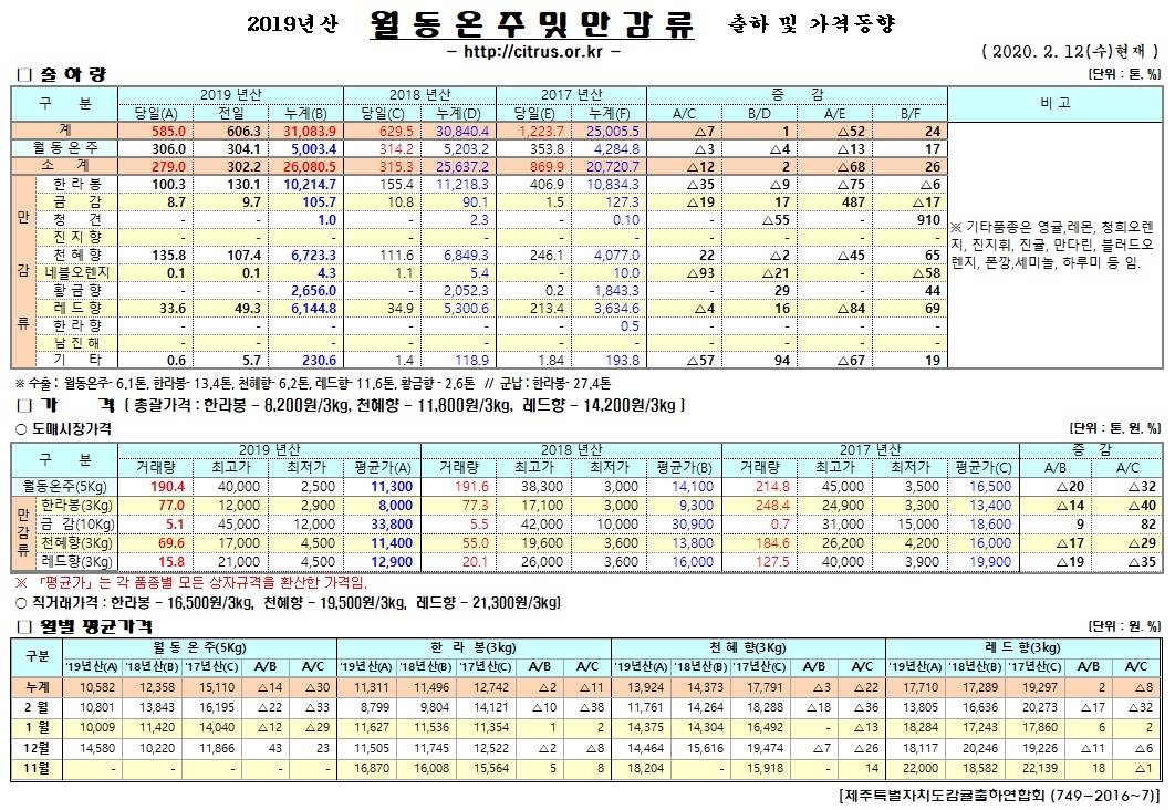 [월동&만감]2019년산 출하 및 가격동향(2/12)