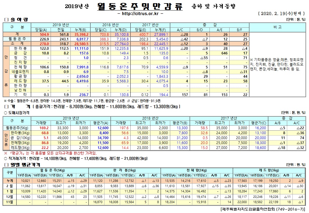 [월동&만감]2019년산 출하 및 가격동향(2/19)