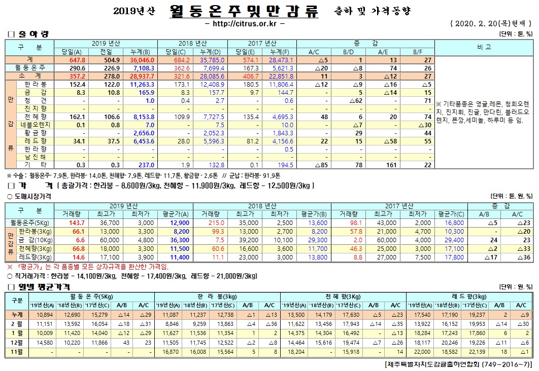 [월동&만감]2019년산 출하 및 가격동향(2/20)