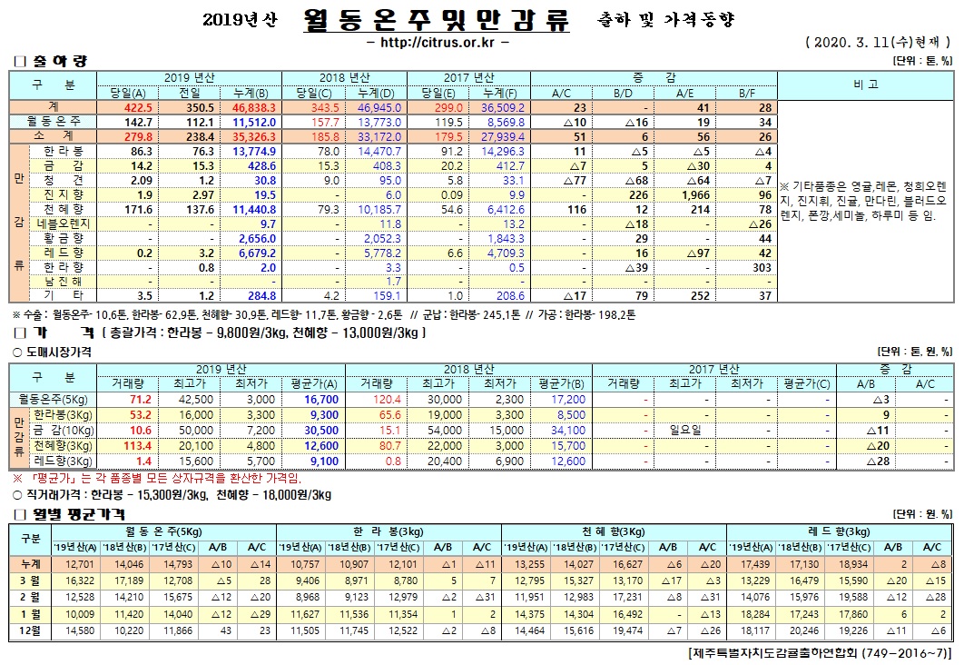 [월동&만감]2019년산 출하 및 가격동향(3/11)