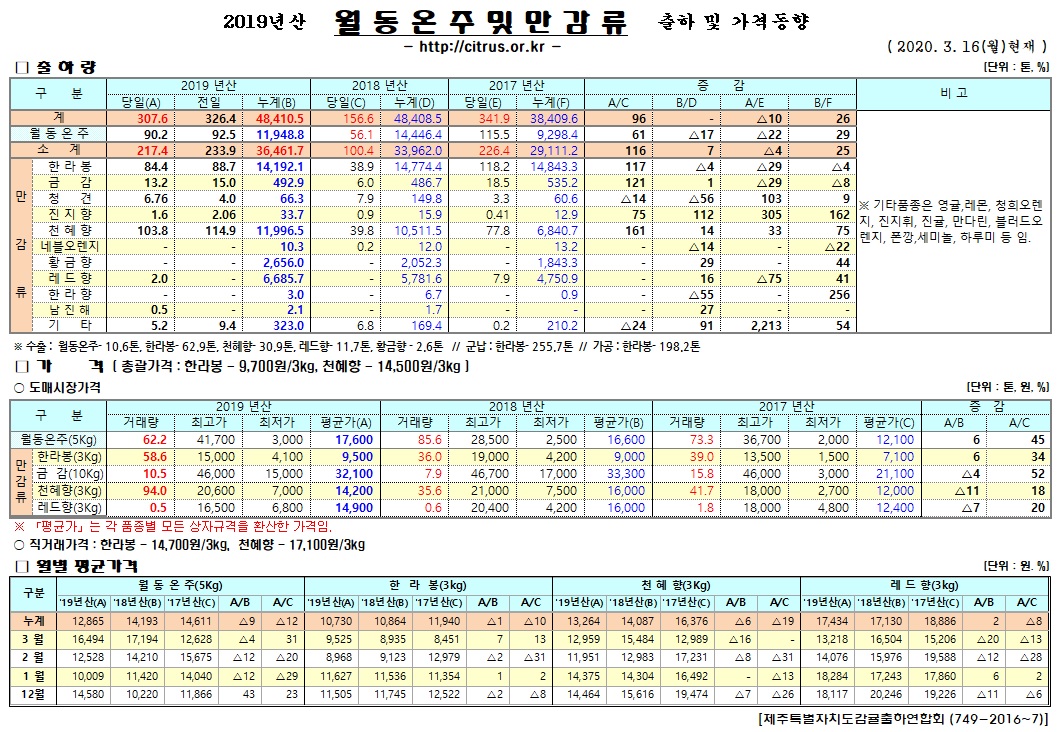 [월동&만감]2019년산 출하 및 가격동향(3/16)