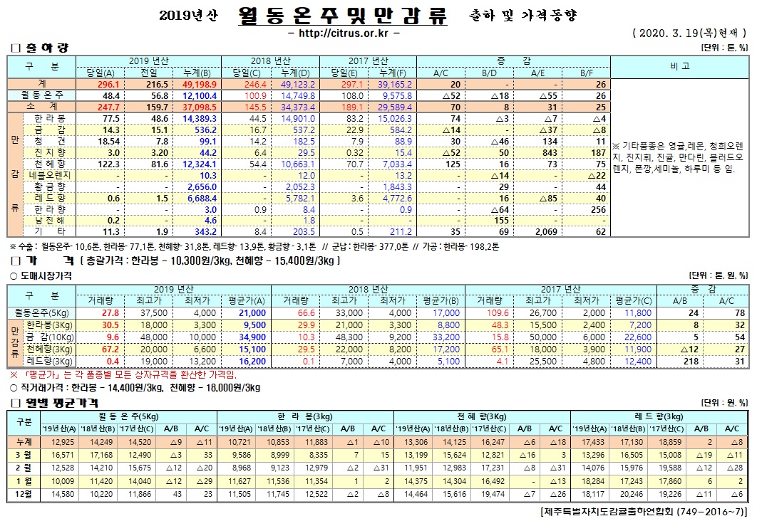 [월동&만감]2019년산 출하 및 가격동향(3/19)