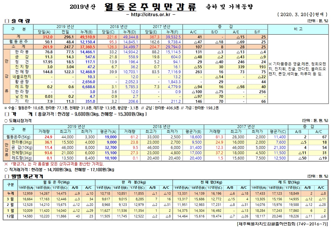 [월동&만감]2019년산 출하 및 가격동향(3/20)