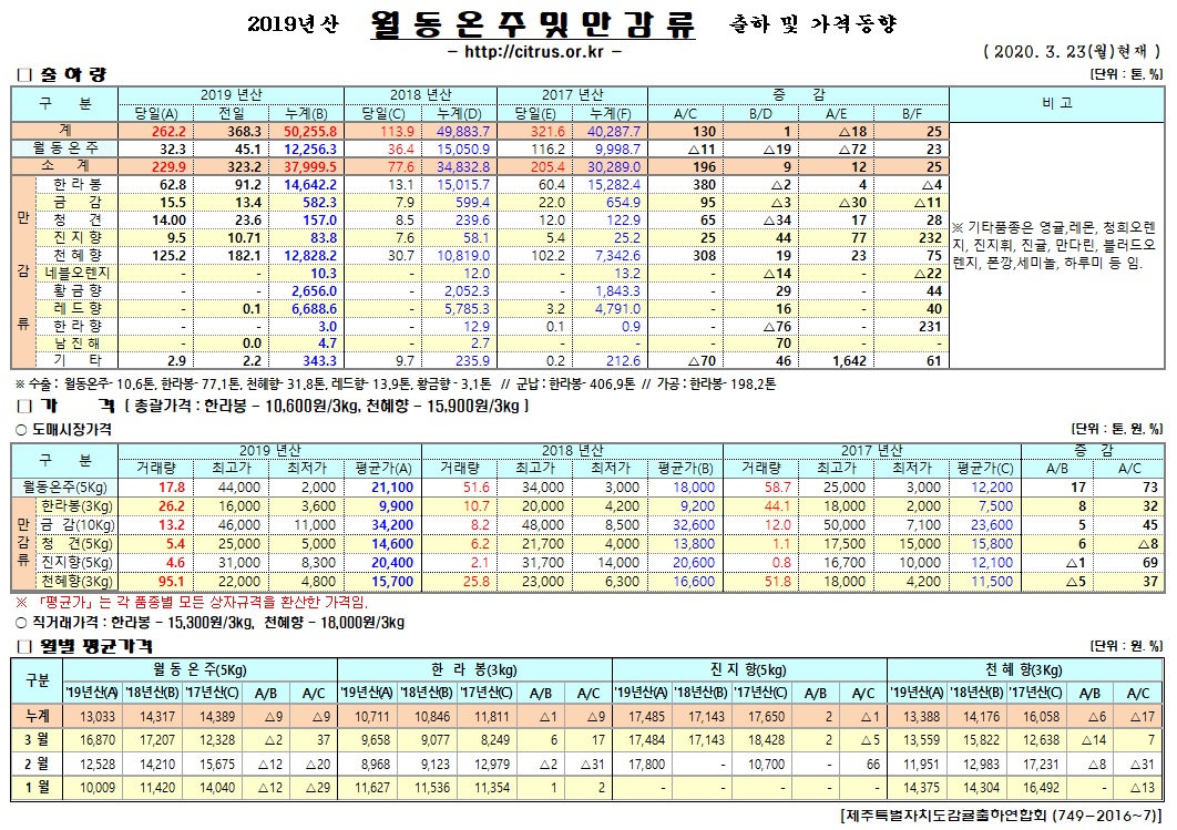 [월동&만감]2019년산 출하 및 가격동향(3/23)