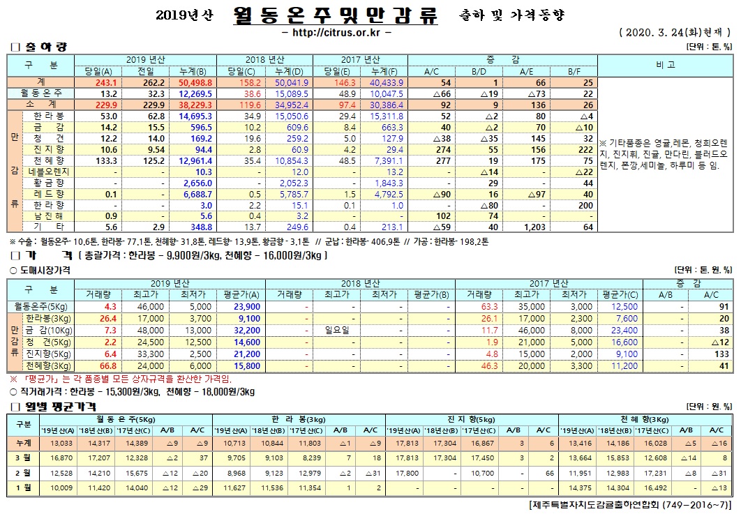 [월동&만감]2019년산 출하 및 가격동향(3/24)