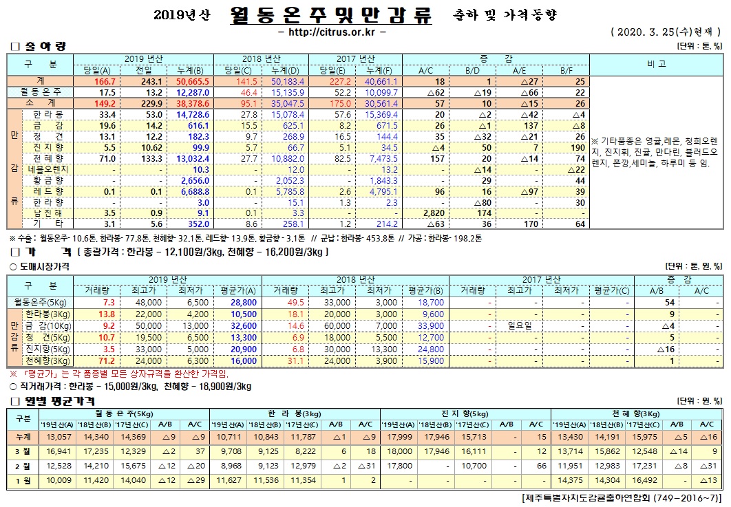 [월동&만감]2019년산 출하 및 가격동향(3/25)