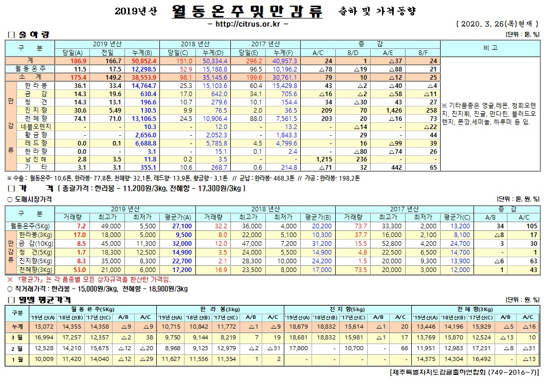 [월동&만감]2019년산 출하 및 가격동향(3/26)
