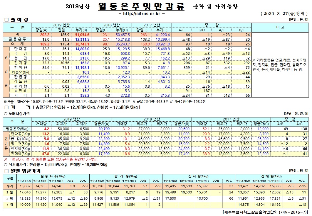[월동&만감]2019년산 출하 및 가격동향(3/27)