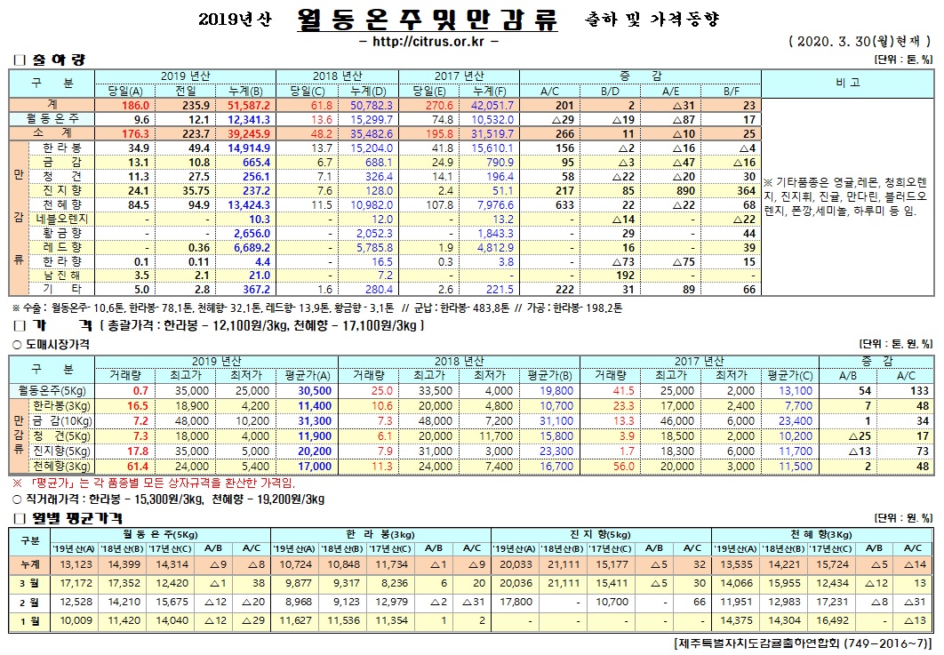 [월동&만감]2019년산 출하 및 가격동향(3/30)