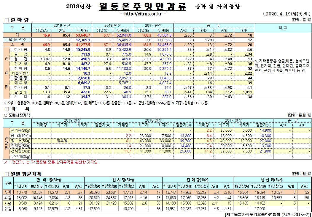 [월동&만감]2019년산 출하 및 가격동향(4/19)