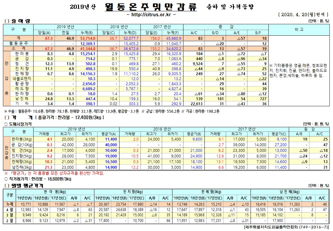 [월동&만감]2019년산 출하 및 가격동향(4/20)