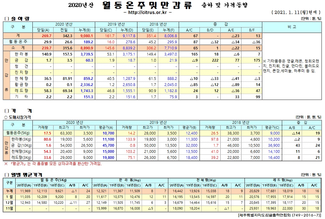 [월동&만감]2020년산 출하 및 가격동향(1/11)