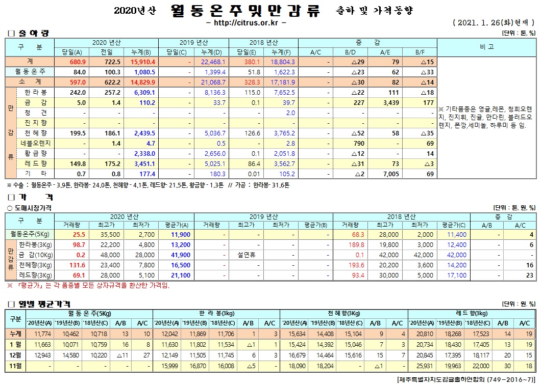 [월동&만감]2020년산 출하 및 가격동향(1/26)