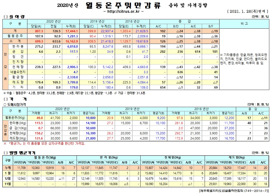 [월동&만감]2020년산 출하 및 가격동향(1/28)