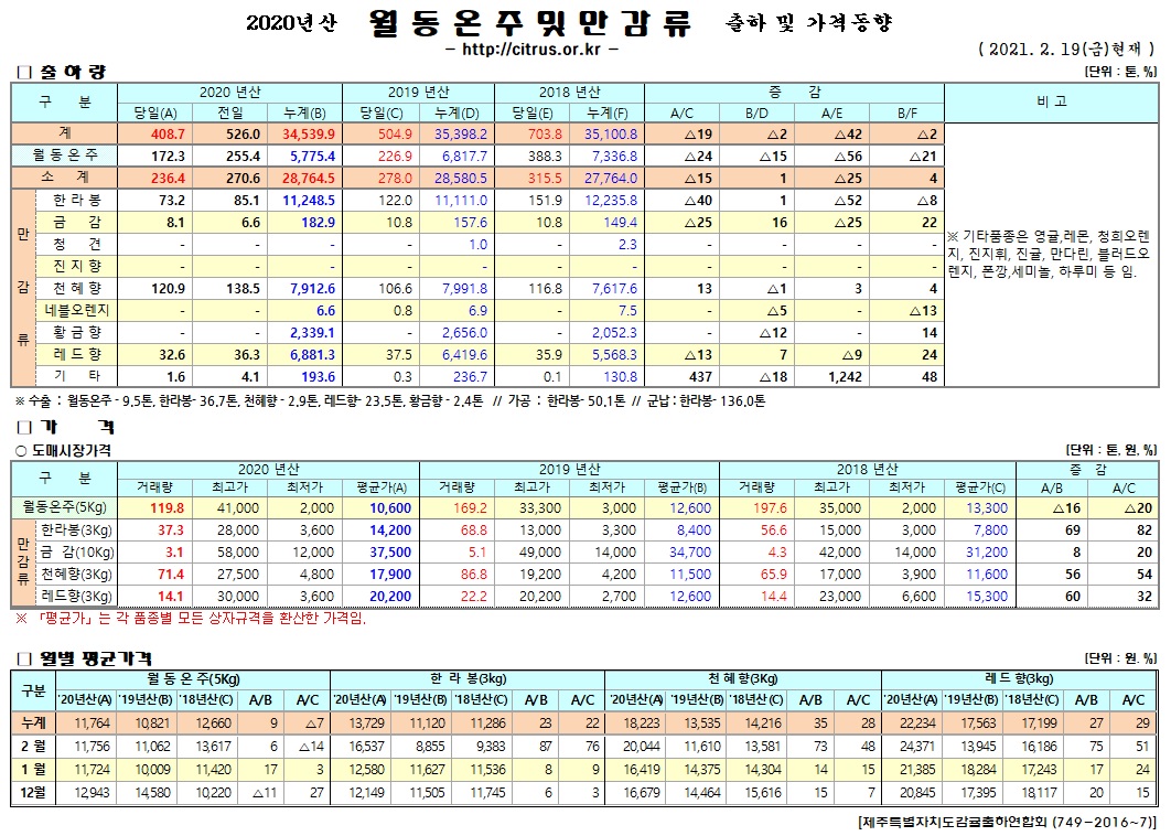 [월동&만감]2020년산 출하 및 가격동향(2/19)
