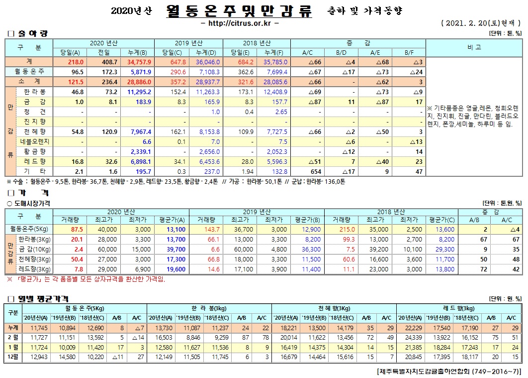 [월동&만감]2020년산 출하 및 가격동향(2/20)