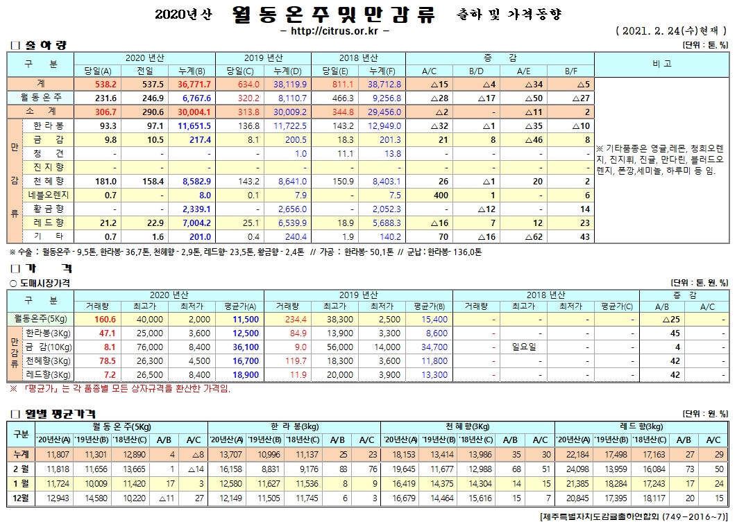 [월동&만감]2020년산 출하 및 가격동향(2/24)