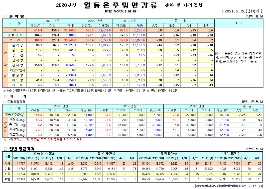 [월동&만감]2020년산 출하 및 가격동향(2/26)